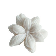 Load image into Gallery viewer, Box of 4 Jasmine Melting Decorations in Scented Wax - Sublime Jasmin..
